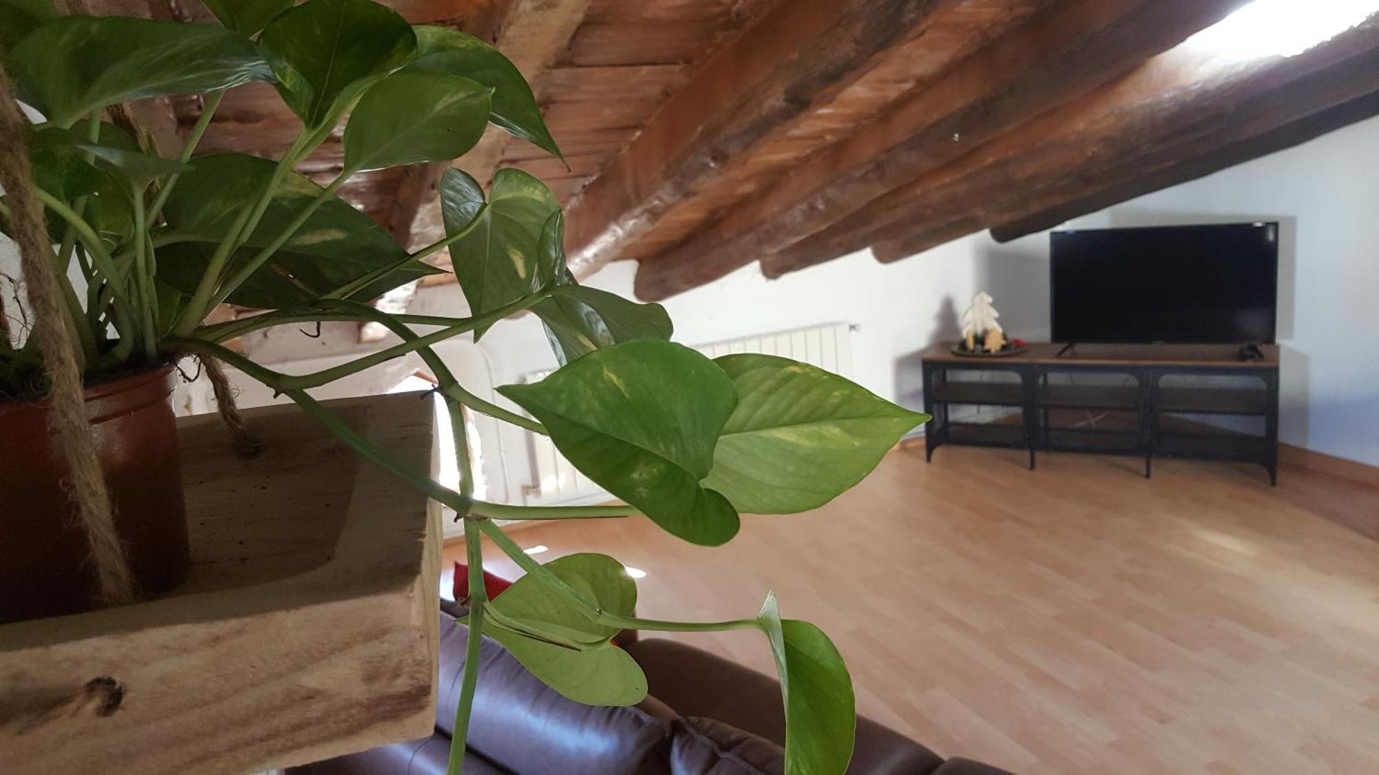 Apartament La Trilla Argentera Camera foto